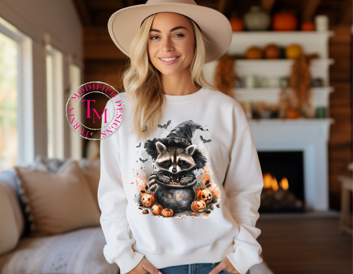Raccoon