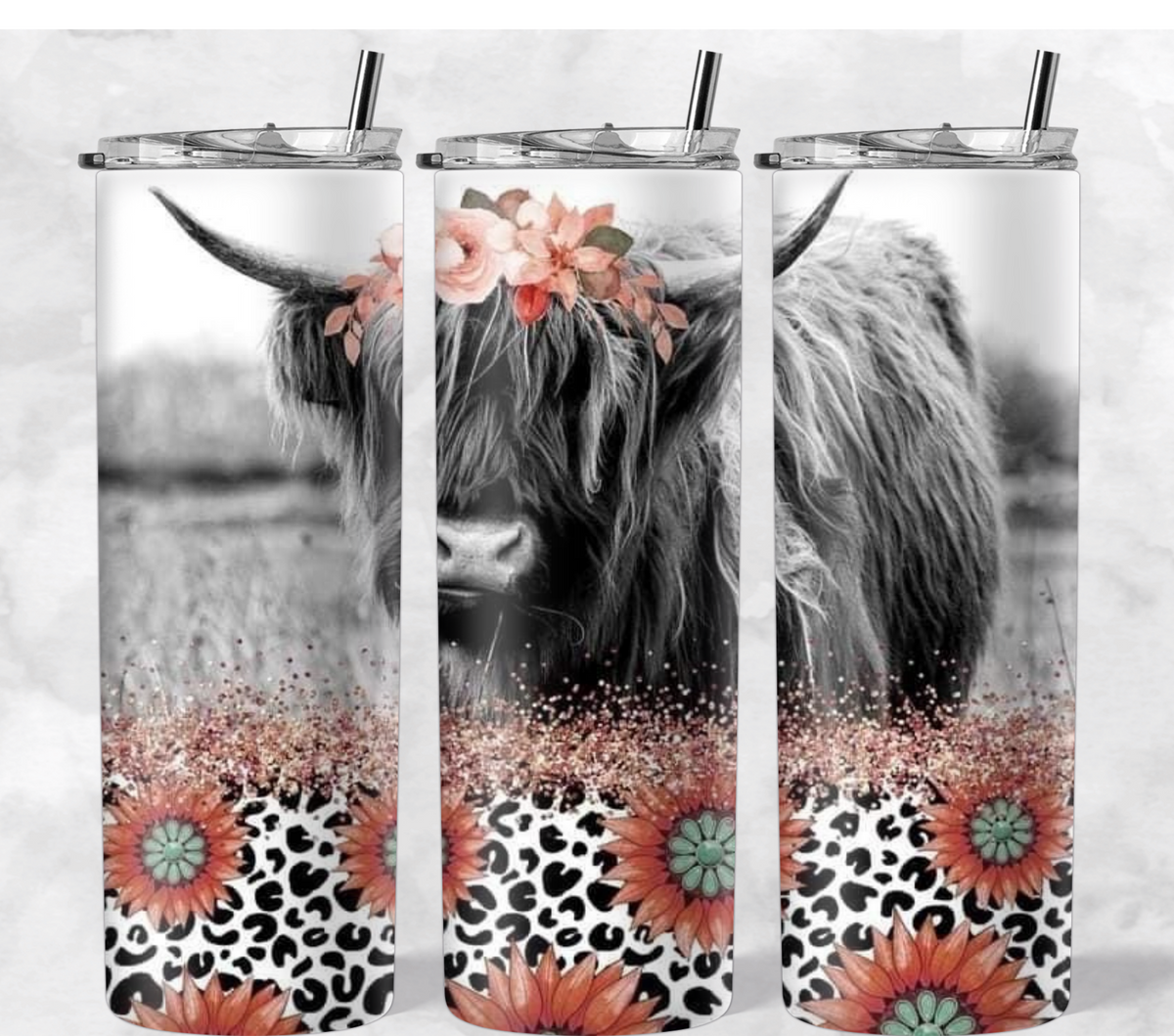Shaggy Cow Daisy