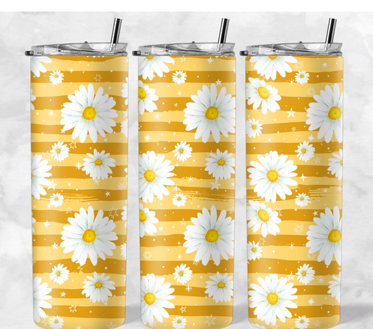 Yellow Daisy