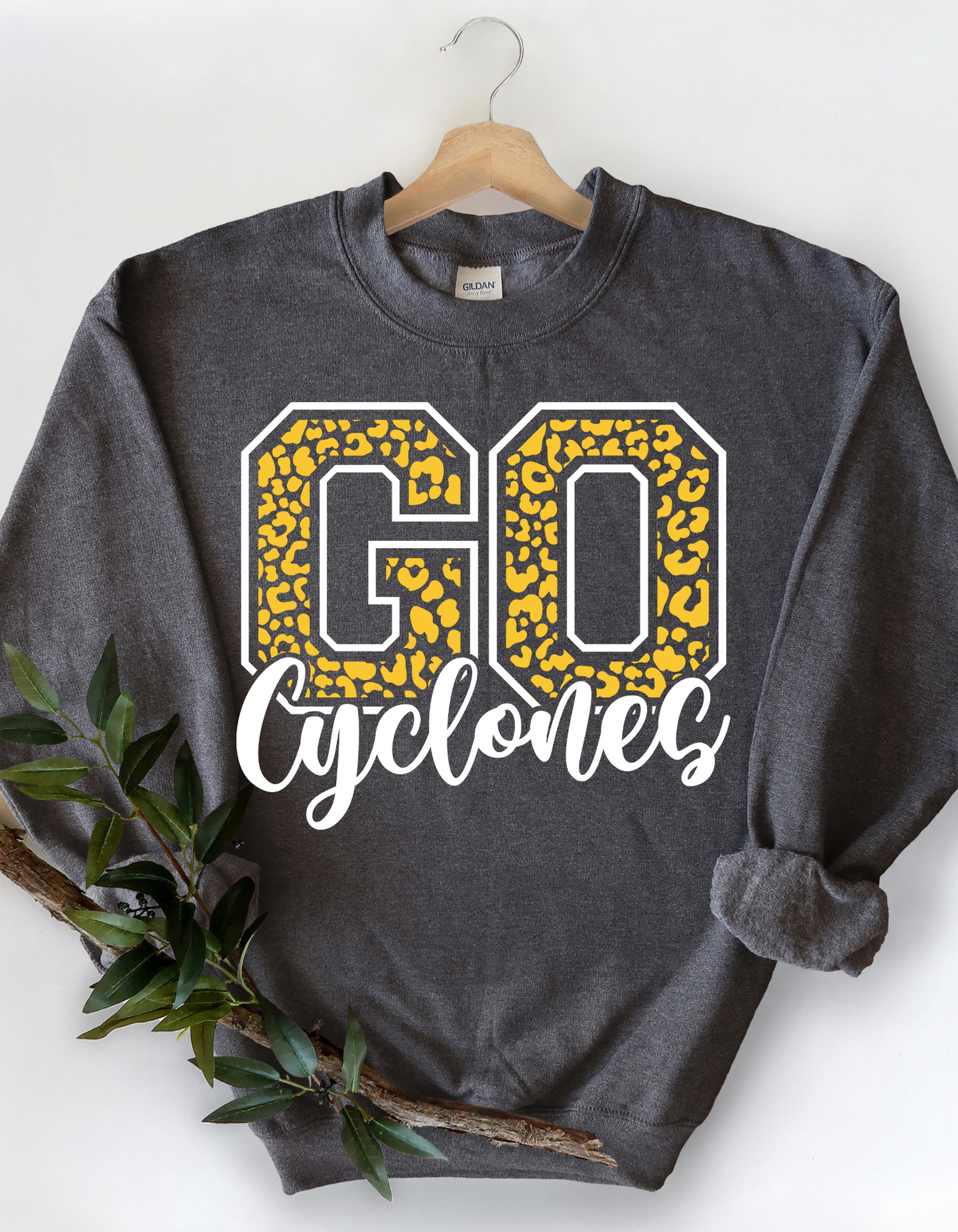 Go Cyclones