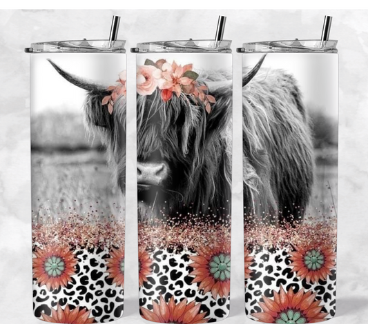 Shaggy Cow Daisy